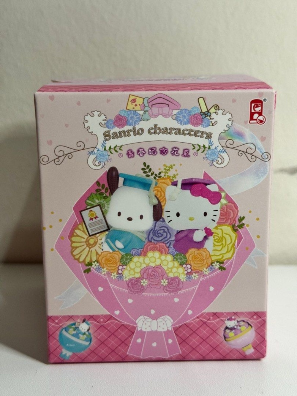 Sanrio To Our Youth, Blind Box Figure, Confirmed/Opened Hello Kitty